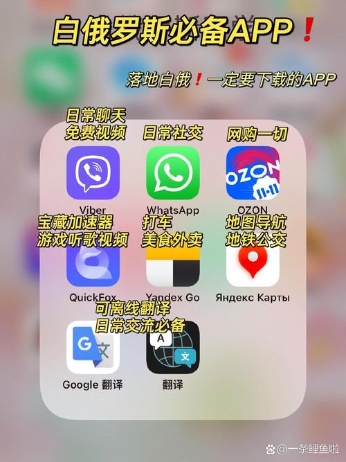 拉群WhatsApp实用指南高效建群与社群管理全流程