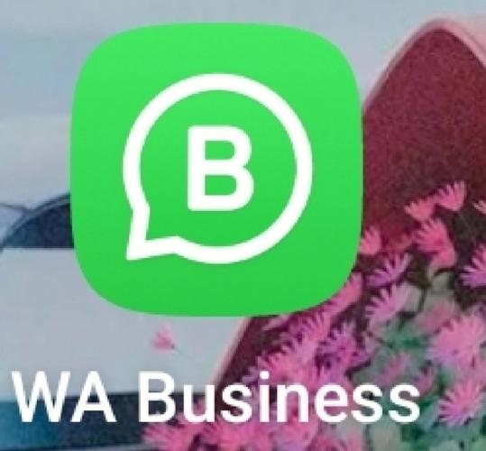 Siri WhatsApp 语音操作指南让 iPhone 沟通更高效