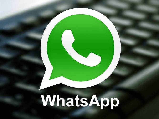 whatsapp收不到消息怎么办 常见原因与排查方法全解析
