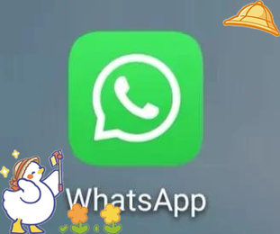 whatsapp 通话加密如何守护日常沟通隐私与安全